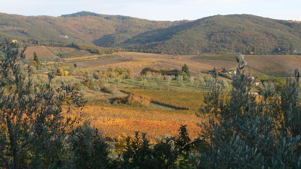 Villa Le Barone Panzano in Chianti Exterior photo